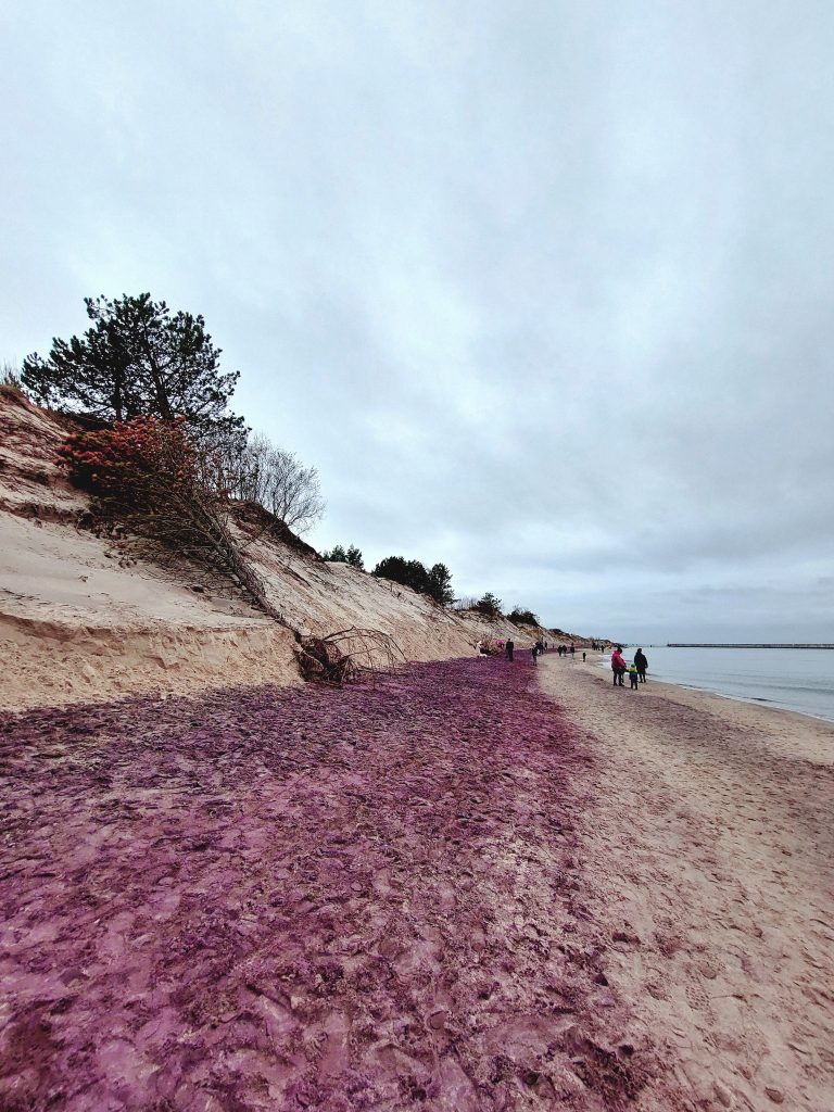 Fioletowa Plaża w Mielnie