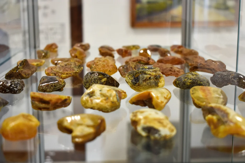 Skarbnica Wioski Rybackiej